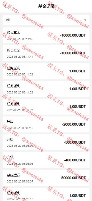 【亲测】REMDO海外刷单源码/完整的代理团队系统/带基金理财功能/前端vue编译后+后端laravel-heichanym.com-黑产源码